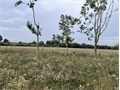 Image du bien UBI478489157